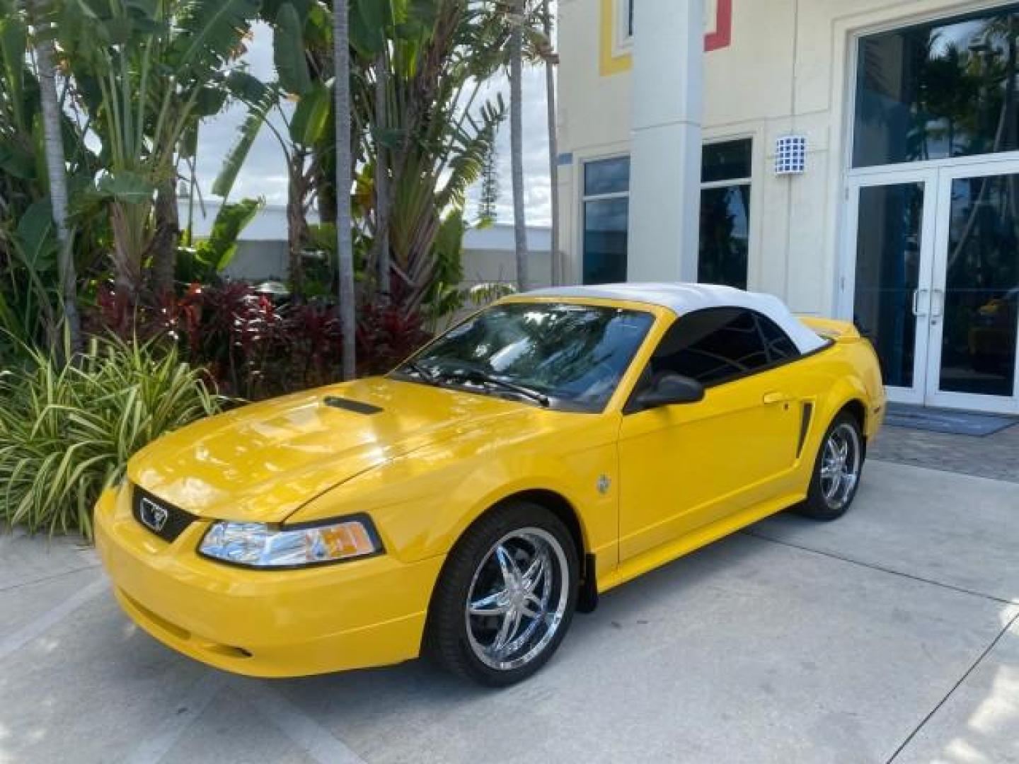 1999 Chrome Yellow /Oxford White Ford Mustang GT LOW MILES 8,145 1 OWNER FL CONV (1FAFP45X3XF) with an 4.6L SOHC SMPI V8 Engine engine, Automatic transmission, located at 4701 North Dixie Hwy, Pompano Beach, FL, 33064, (954) 422-2889, 26.240938, -80.123474 - OUR WEBPAGE FLORIDACARS1.COM HAS OVER 100 PHOTOS AND FREE CARFAX LINK 1999 FORD MUSTANG GT 1 OWNER VIN: 1FAFP45X3XF127745 1 F A F P 4 5 X 3 X F 1 2 7 7 4 5 CONVERTIBLE 4.6L V8 F SOHC 16V GASOLINE 24 MPG REAR WHEEL DRIVE Features ABS Brakes Air Conditioning Alloy Wheels AM/FM Stereo Automatic Transmi - Photo#32