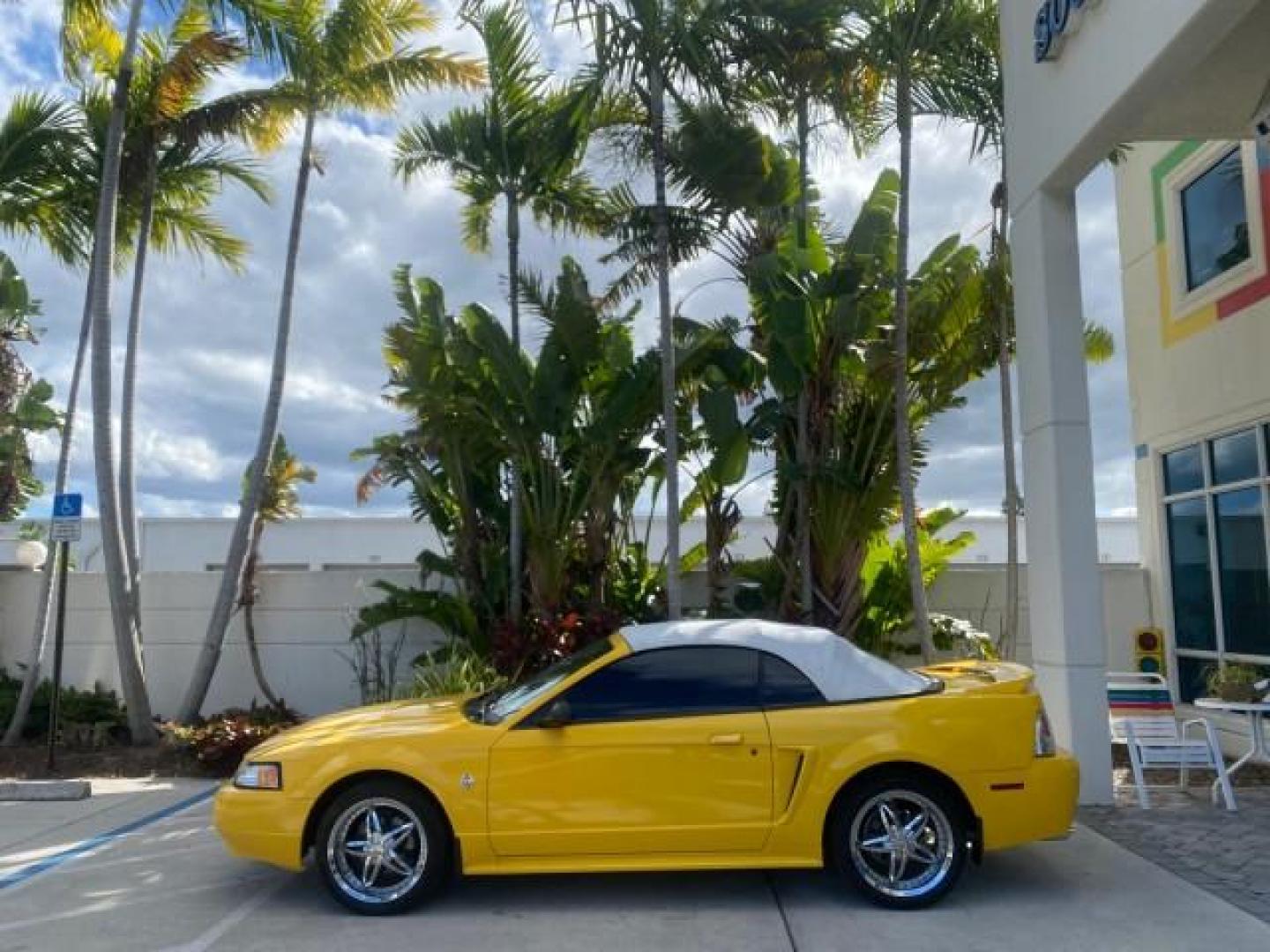 1999 Chrome Yellow /Oxford White Ford Mustang GT LOW MILES 8,145 1 OWNER FL CONV (1FAFP45X3XF) with an 4.6L SOHC SMPI V8 Engine engine, Automatic transmission, located at 4701 North Dixie Hwy, Pompano Beach, FL, 33064, (954) 422-2889, 26.240938, -80.123474 - OUR WEBPAGE FLORIDACARS1.COM HAS OVER 100 PHOTOS AND FREE CARFAX LINK 1999 FORD MUSTANG GT 1 OWNER VIN: 1FAFP45X3XF127745 1 F A F P 4 5 X 3 X F 1 2 7 7 4 5 CONVERTIBLE 4.6L V8 F SOHC 16V GASOLINE 24 MPG REAR WHEEL DRIVE Features ABS Brakes Air Conditioning Alloy Wheels AM/FM Stereo Automatic Transmi - Photo#34