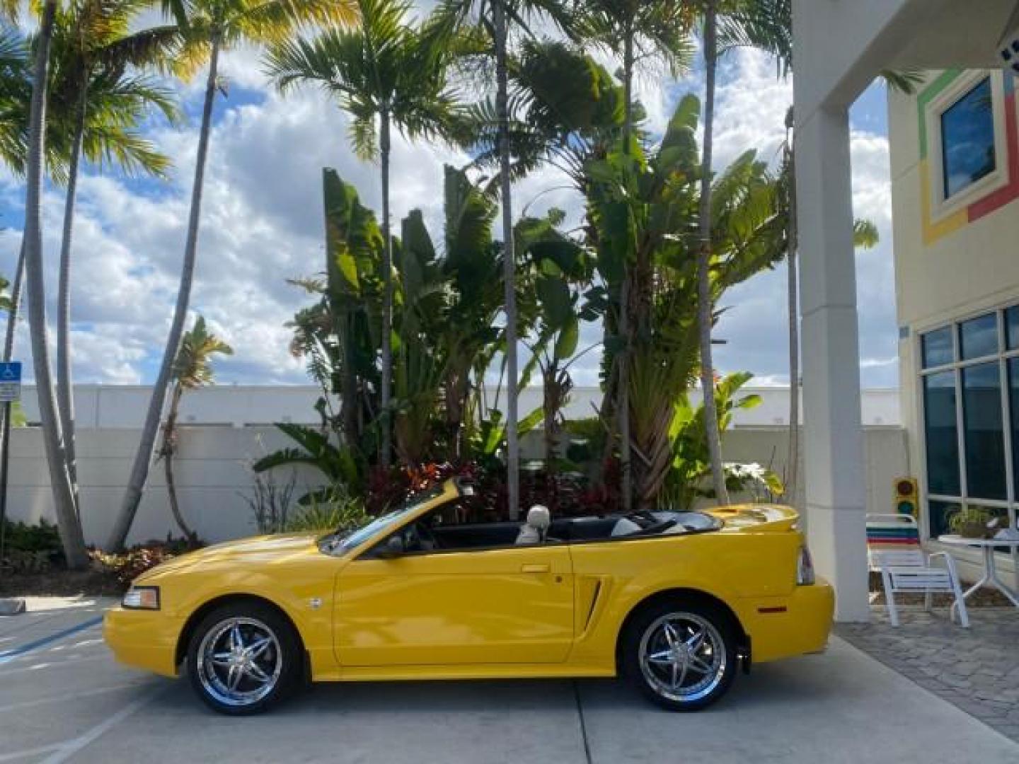 1999 Chrome Yellow /Oxford White Ford Mustang GT LOW MILES 8,145 1 OWNER FL CONV (1FAFP45X3XF) with an 4.6L SOHC SMPI V8 Engine engine, Automatic transmission, located at 4701 North Dixie Hwy, Pompano Beach, FL, 33064, (954) 422-2889, 26.240938, -80.123474 - OUR WEBPAGE FLORIDACARS1.COM HAS OVER 100 PHOTOS AND FREE CARFAX LINK 1999 FORD MUSTANG GT 1 OWNER VIN: 1FAFP45X3XF127745 1 F A F P 4 5 X 3 X F 1 2 7 7 4 5 CONVERTIBLE 4.6L V8 F SOHC 16V GASOLINE 24 MPG REAR WHEEL DRIVE Features ABS Brakes Air Conditioning Alloy Wheels AM/FM Stereo Automatic Transmi - Photo#35
