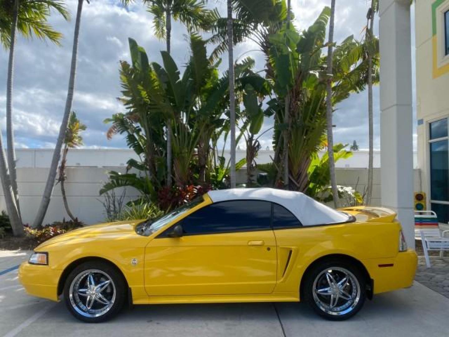 1999 Chrome Yellow /Oxford White Ford Mustang GT LOW MILES 8,145 1 OWNER FL CONV (1FAFP45X3XF) with an 4.6L SOHC SMPI V8 Engine engine, Automatic transmission, located at 4701 North Dixie Hwy, Pompano Beach, FL, 33064, (954) 422-2889, 26.240938, -80.123474 - OUR WEBPAGE FLORIDACARS1.COM HAS OVER 100 PHOTOS AND FREE CARFAX LINK 1999 FORD MUSTANG GT 1 OWNER VIN: 1FAFP45X3XF127745 1 F A F P 4 5 X 3 X F 1 2 7 7 4 5 CONVERTIBLE 4.6L V8 F SOHC 16V GASOLINE 24 MPG REAR WHEEL DRIVE Features ABS Brakes Air Conditioning Alloy Wheels AM/FM Stereo Automatic Transmi - Photo#36