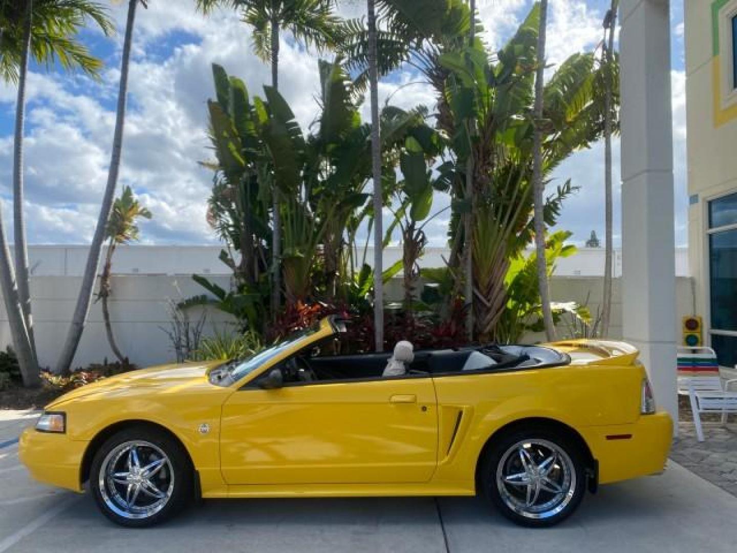 1999 Chrome Yellow /Oxford White Ford Mustang GT LOW MILES 8,145 1 OWNER FL CONV (1FAFP45X3XF) with an 4.6L SOHC SMPI V8 Engine engine, Automatic transmission, located at 4701 North Dixie Hwy, Pompano Beach, FL, 33064, (954) 422-2889, 26.240938, -80.123474 - OUR WEBPAGE FLORIDACARS1.COM HAS OVER 100 PHOTOS AND FREE CARFAX LINK 1999 FORD MUSTANG GT 1 OWNER VIN: 1FAFP45X3XF127745 1 F A F P 4 5 X 3 X F 1 2 7 7 4 5 CONVERTIBLE 4.6L V8 F SOHC 16V GASOLINE 24 MPG REAR WHEEL DRIVE Features ABS Brakes Air Conditioning Alloy Wheels AM/FM Stereo Automatic Transmi - Photo#37