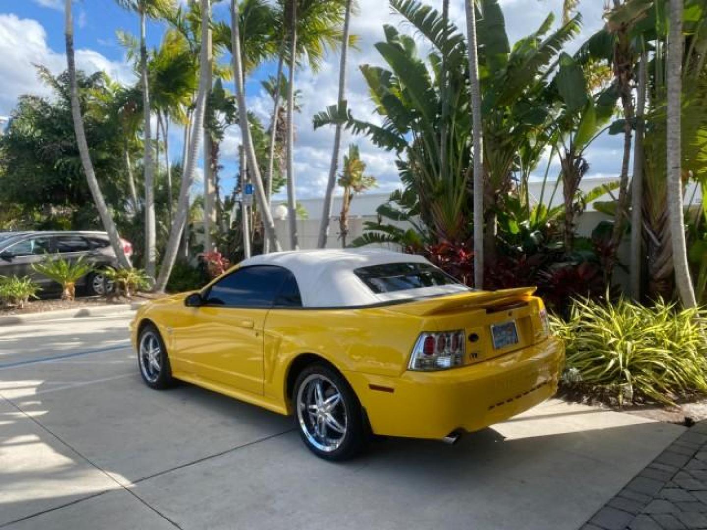 1999 Chrome Yellow /Oxford White Ford Mustang GT LOW MILES 8,145 1 OWNER FL CONV (1FAFP45X3XF) with an 4.6L SOHC SMPI V8 Engine engine, Automatic transmission, located at 4701 North Dixie Hwy, Pompano Beach, FL, 33064, (954) 422-2889, 26.240938, -80.123474 - OUR WEBPAGE FLORIDACARS1.COM HAS OVER 100 PHOTOS AND FREE CARFAX LINK 1999 FORD MUSTANG GT 1 OWNER VIN: 1FAFP45X3XF127745 1 F A F P 4 5 X 3 X F 1 2 7 7 4 5 CONVERTIBLE 4.6L V8 F SOHC 16V GASOLINE 24 MPG REAR WHEEL DRIVE Features ABS Brakes Air Conditioning Alloy Wheels AM/FM Stereo Automatic Transmi - Photo#38