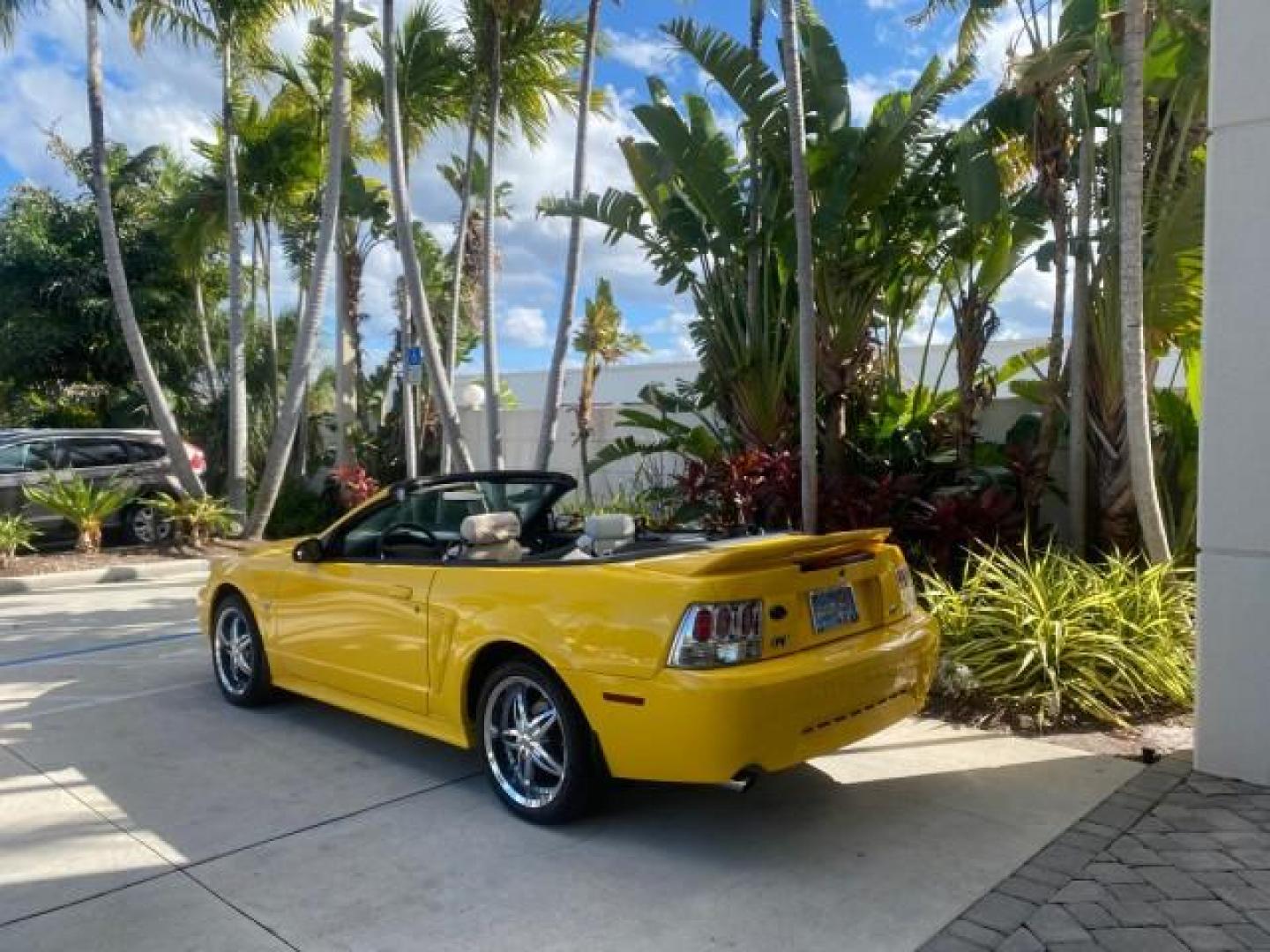 1999 Chrome Yellow /Oxford White Ford Mustang GT LOW MILES 8,145 1 OWNER FL CONV (1FAFP45X3XF) with an 4.6L SOHC SMPI V8 Engine engine, Automatic transmission, located at 4701 North Dixie Hwy, Pompano Beach, FL, 33064, (954) 422-2889, 26.240938, -80.123474 - OUR WEBPAGE FLORIDACARS1.COM HAS OVER 100 PHOTOS AND FREE CARFAX LINK 1999 FORD MUSTANG GT 1 OWNER VIN: 1FAFP45X3XF127745 1 F A F P 4 5 X 3 X F 1 2 7 7 4 5 CONVERTIBLE 4.6L V8 F SOHC 16V GASOLINE 24 MPG REAR WHEEL DRIVE Features ABS Brakes Air Conditioning Alloy Wheels AM/FM Stereo Automatic Transmi - Photo#39