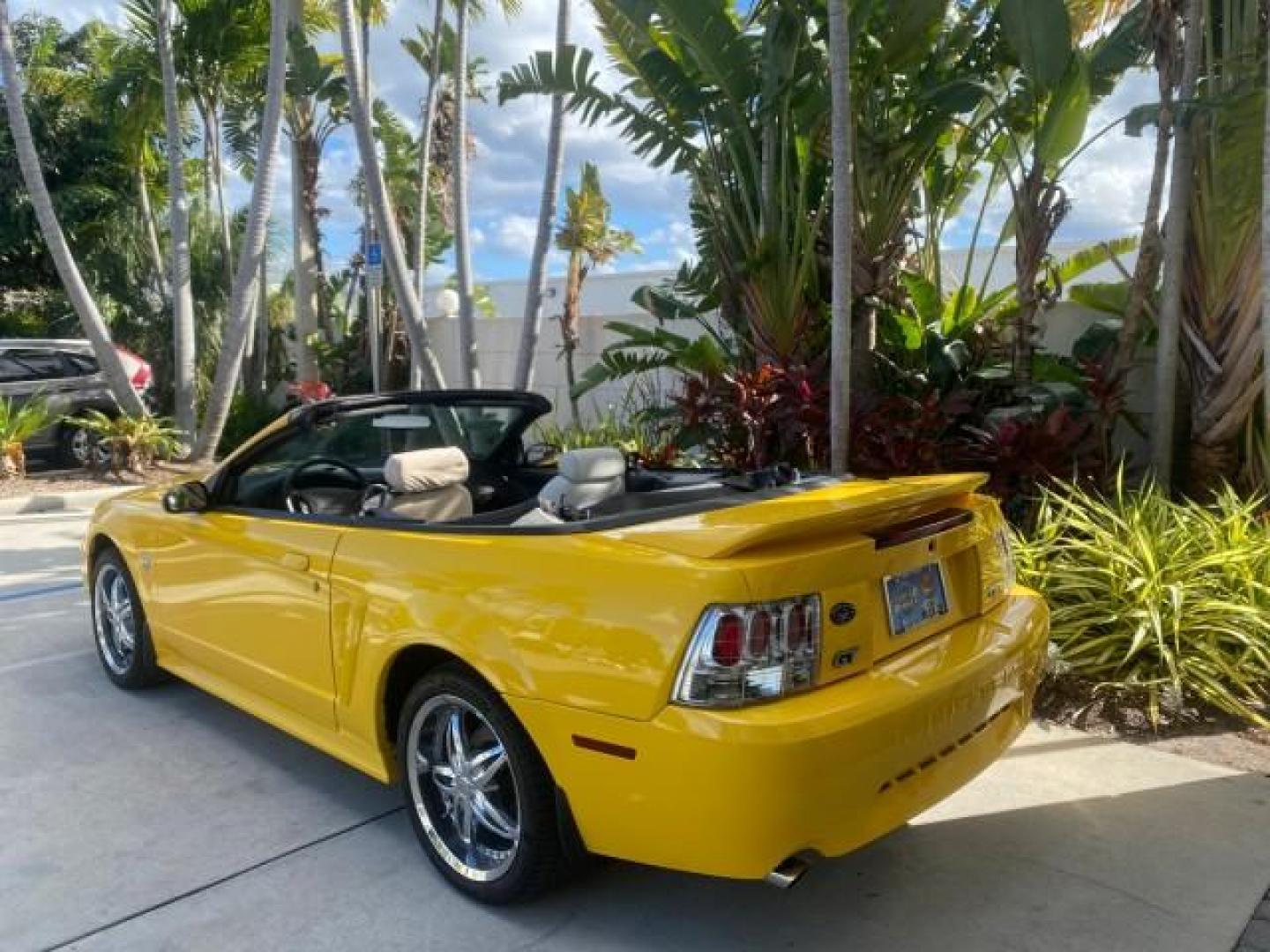 1999 Chrome Yellow /Oxford White Ford Mustang GT LOW MILES 8,145 1 OWNER FL CONV (1FAFP45X3XF) with an 4.6L SOHC SMPI V8 Engine engine, Automatic transmission, located at 4701 North Dixie Hwy, Pompano Beach, FL, 33064, (954) 422-2889, 26.240938, -80.123474 - OUR WEBPAGE FLORIDACARS1.COM HAS OVER 100 PHOTOS AND FREE CARFAX LINK 1999 FORD MUSTANG GT 1 OWNER VIN: 1FAFP45X3XF127745 1 F A F P 4 5 X 3 X F 1 2 7 7 4 5 CONVERTIBLE 4.6L V8 F SOHC 16V GASOLINE 24 MPG REAR WHEEL DRIVE Features ABS Brakes Air Conditioning Alloy Wheels AM/FM Stereo Automatic Transmi - Photo#41
