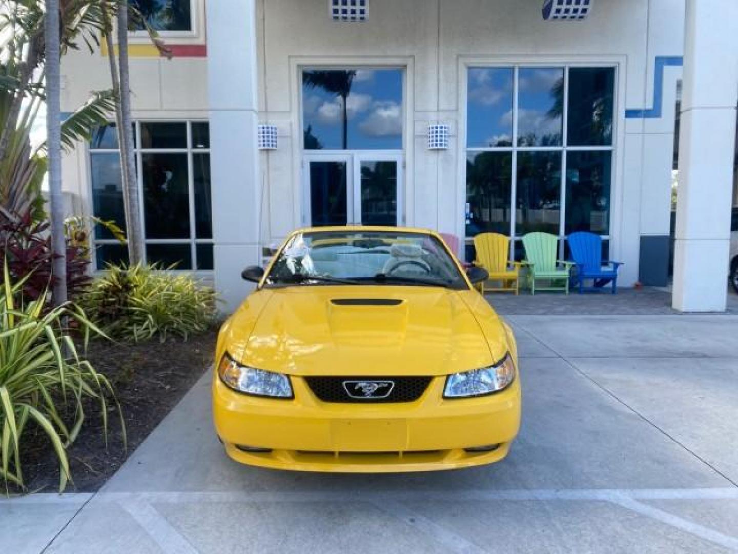 1999 Chrome Yellow /Oxford White Ford Mustang GT LOW MILES 8,145 1 OWNER FL CONV (1FAFP45X3XF) with an 4.6L SOHC SMPI V8 Engine engine, Automatic transmission, located at 4701 North Dixie Hwy, Pompano Beach, FL, 33064, (954) 422-2889, 26.240938, -80.123474 - OUR WEBPAGE FLORIDACARS1.COM HAS OVER 100 PHOTOS AND FREE CARFAX LINK 1999 FORD MUSTANG GT 1 OWNER VIN: 1FAFP45X3XF127745 1 F A F P 4 5 X 3 X F 1 2 7 7 4 5 CONVERTIBLE 4.6L V8 F SOHC 16V GASOLINE 24 MPG REAR WHEEL DRIVE Features ABS Brakes Air Conditioning Alloy Wheels AM/FM Stereo Automatic Transmi - Photo#58