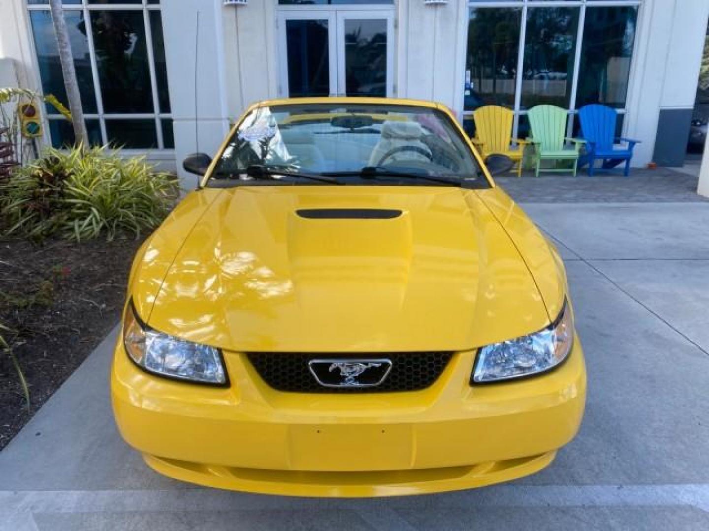1999 Chrome Yellow /Oxford White Ford Mustang GT LOW MILES 8,145 1 OWNER FL CONV (1FAFP45X3XF) with an 4.6L SOHC SMPI V8 Engine engine, Automatic transmission, located at 4701 North Dixie Hwy, Pompano Beach, FL, 33064, (954) 422-2889, 26.240938, -80.123474 - OUR WEBPAGE FLORIDACARS1.COM HAS OVER 100 PHOTOS AND FREE CARFAX LINK 1999 FORD MUSTANG GT 1 OWNER VIN: 1FAFP45X3XF127745 1 F A F P 4 5 X 3 X F 1 2 7 7 4 5 CONVERTIBLE 4.6L V8 F SOHC 16V GASOLINE 24 MPG REAR WHEEL DRIVE Features ABS Brakes Air Conditioning Alloy Wheels AM/FM Stereo Automatic Transmi - Photo#59