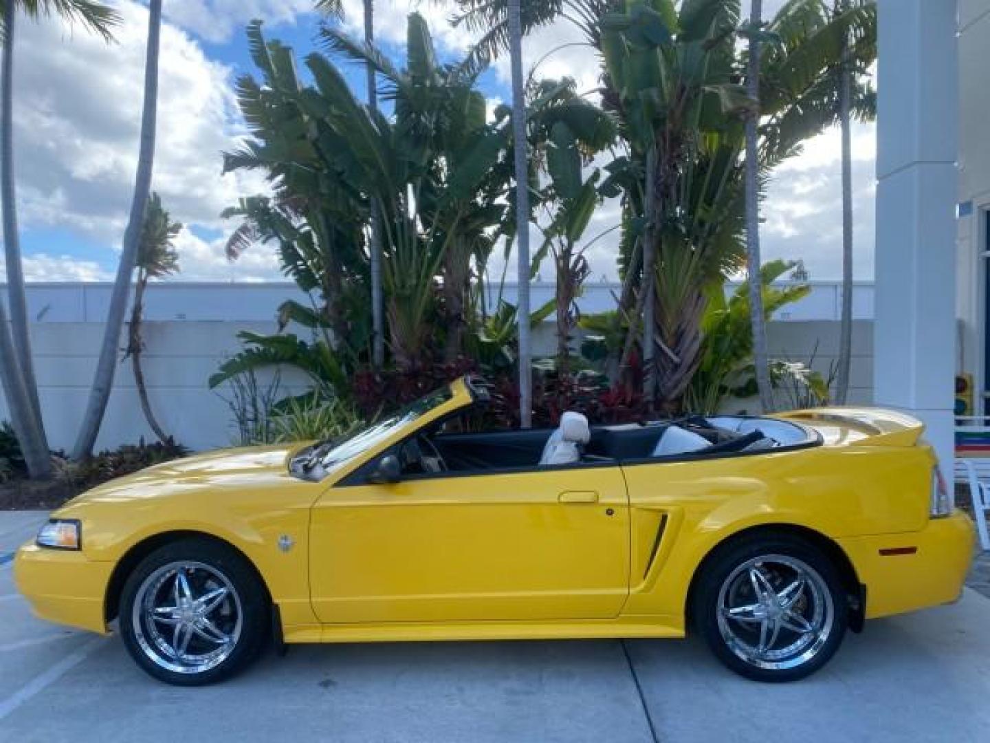 1999 Chrome Yellow /Oxford White Ford Mustang GT LOW MILES 8,145 1 OWNER FL CONV (1FAFP45X3XF) with an 4.6L SOHC SMPI V8 Engine engine, Automatic transmission, located at 4701 North Dixie Hwy, Pompano Beach, FL, 33064, (954) 422-2889, 26.240938, -80.123474 - OUR WEBPAGE FLORIDACARS1.COM HAS OVER 100 PHOTOS AND FREE CARFAX LINK 1999 FORD MUSTANG GT 1 OWNER VIN: 1FAFP45X3XF127745 1 F A F P 4 5 X 3 X F 1 2 7 7 4 5 CONVERTIBLE 4.6L V8 F SOHC 16V GASOLINE 24 MPG REAR WHEEL DRIVE Features ABS Brakes Air Conditioning Alloy Wheels AM/FM Stereo Automatic Transmi - Photo#61