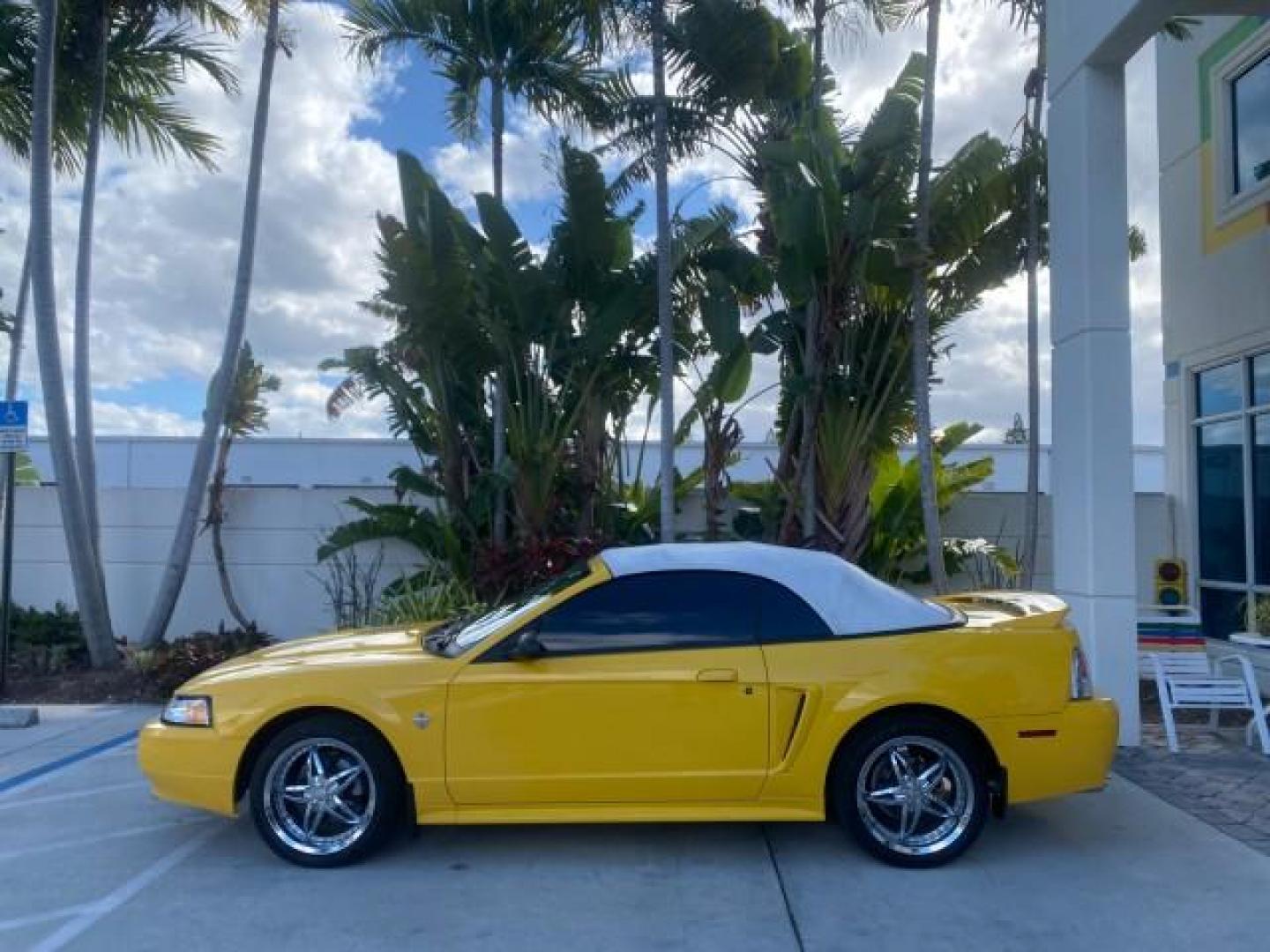 1999 Chrome Yellow /Oxford White Ford Mustang GT LOW MILES 8,145 1 OWNER FL CONV (1FAFP45X3XF) with an 4.6L SOHC SMPI V8 Engine engine, Automatic transmission, located at 4701 North Dixie Hwy, Pompano Beach, FL, 33064, (954) 422-2889, 26.240938, -80.123474 - OUR WEBPAGE FLORIDACARS1.COM HAS OVER 100 PHOTOS AND FREE CARFAX LINK 1999 FORD MUSTANG GT 1 OWNER VIN: 1FAFP45X3XF127745 1 F A F P 4 5 X 3 X F 1 2 7 7 4 5 CONVERTIBLE 4.6L V8 F SOHC 16V GASOLINE 24 MPG REAR WHEEL DRIVE Features ABS Brakes Air Conditioning Alloy Wheels AM/FM Stereo Automatic Transmi - Photo#62