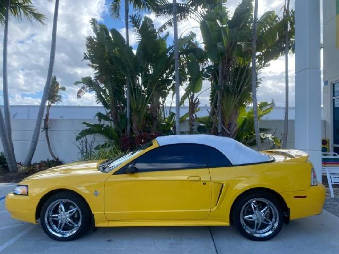1999 Chrome Yellow /Oxford White Ford Mustang GT LOW MILES 8,145 1 OWNER FL CONV (1FAFP45X3XF) with an 4.6L SOHC SMPI V8 Engine engine, Automatic transmission, located at 4701 North Dixie Hwy, Pompano Beach, FL, 33064, (954) 422-2889, 26.240938, -80.123474 - OUR WEBPAGE FLORIDACARS1.COM HAS OVER 100 PHOTOS AND FREE CARFAX LINK 1999 FORD MUSTANG GT 1 OWNER VIN: 1FAFP45X3XF127745 1 F A F P 4 5 X 3 X F 1 2 7 7 4 5 CONVERTIBLE 4.6L V8 F SOHC 16V GASOLINE 24 MPG REAR WHEEL DRIVE Features ABS Brakes Air Conditioning Alloy Wheels AM/FM Stereo Automatic Transmi - Photo#63