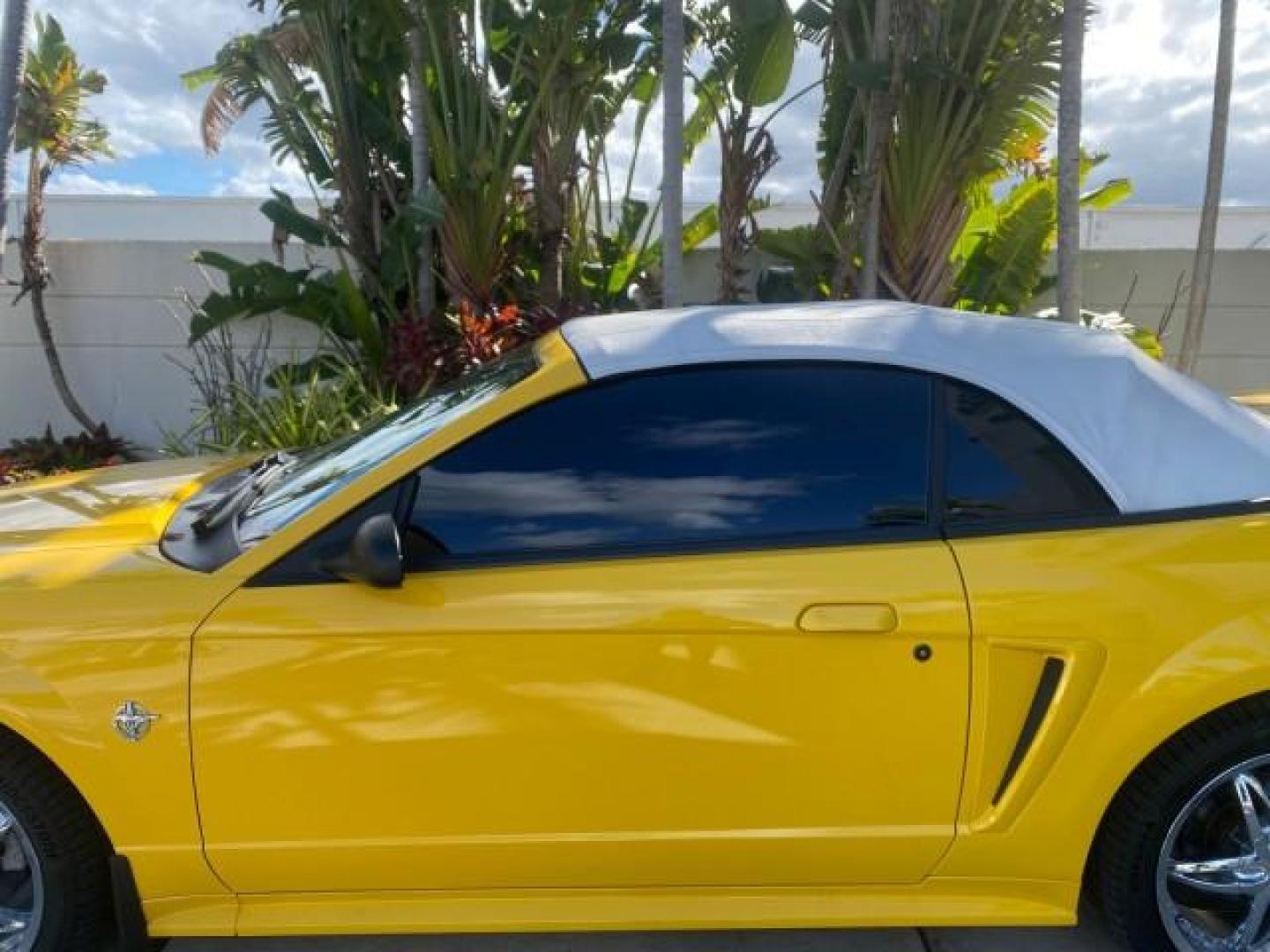 1999 Chrome Yellow /Oxford White Ford Mustang GT LOW MILES 8,145 1 OWNER FL CONV (1FAFP45X3XF) with an 4.6L SOHC SMPI V8 Engine engine, Automatic transmission, located at 4701 North Dixie Hwy, Pompano Beach, FL, 33064, (954) 422-2889, 26.240938, -80.123474 - OUR WEBPAGE FLORIDACARS1.COM HAS OVER 100 PHOTOS AND FREE CARFAX LINK 1999 FORD MUSTANG GT 1 OWNER VIN: 1FAFP45X3XF127745 1 F A F P 4 5 X 3 X F 1 2 7 7 4 5 CONVERTIBLE 4.6L V8 F SOHC 16V GASOLINE 24 MPG REAR WHEEL DRIVE Features ABS Brakes Air Conditioning Alloy Wheels AM/FM Stereo Automatic Transmi - Photo#65