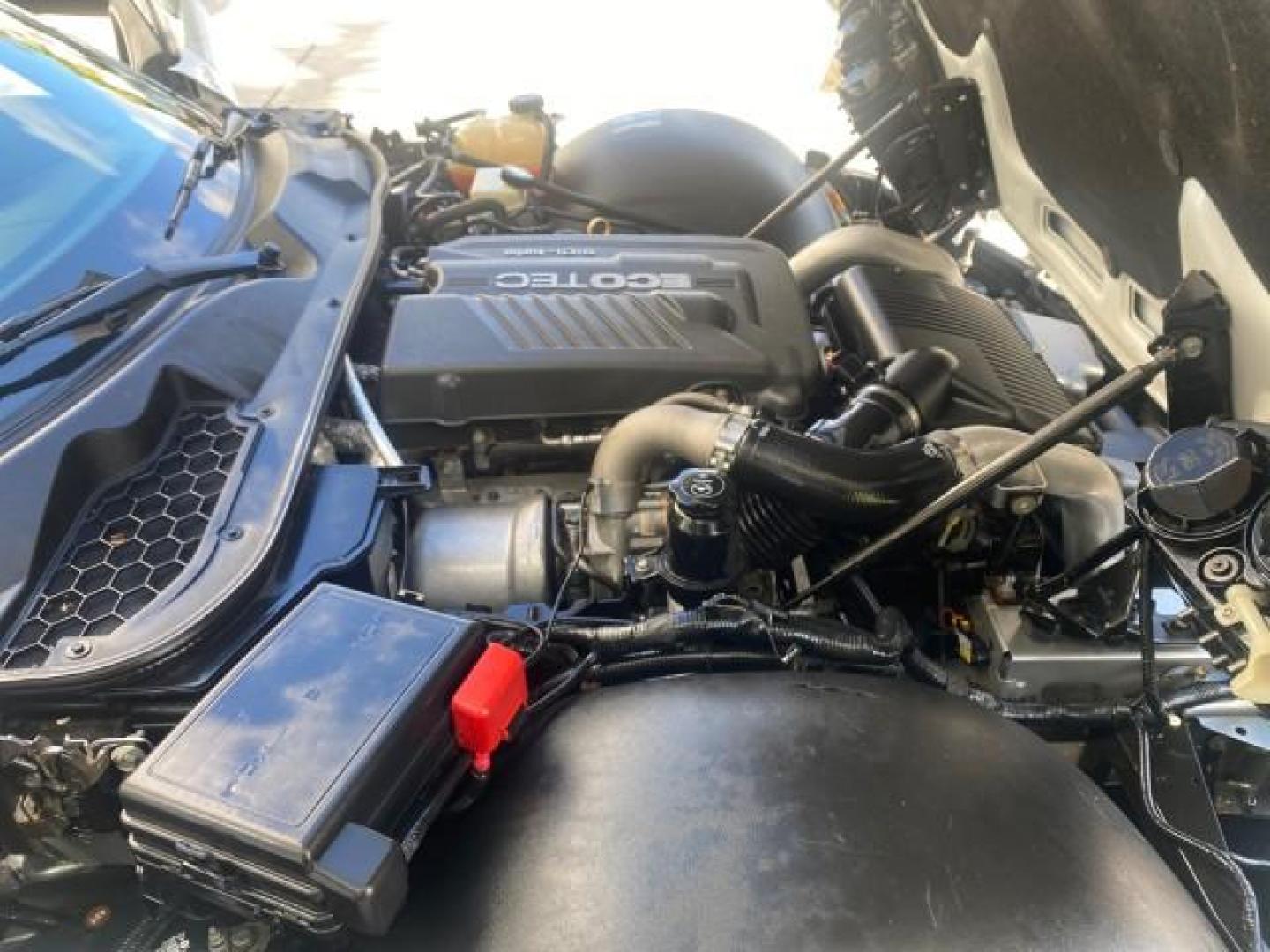 2008 Polar White /Black Saturn Sky Red Line LOW MILES 29,810 SOFT TOP (1G8MF35X78Y) with an Turbocharged And Intercooled Ecotec 2.0L VVT DOHC 4-Cyl Aluminum Engine engine, Automatic transmission, located at 4701 North Dixie Hwy, Pompano Beach, FL, 33064, (954) 422-2889, 26.240938, -80.123474 - OUR WEBPAGE FLORIDACARS1.COM HAS OVER 100 PHOTOS AND FREE CARFAX LINK 2008 SATURN SKY RED LINE TOP OF THE LINE TURBO FAST VIN: 1G8MF35X78Y121221 1 G 8 M F 3 5 X 7 8 Y 1 2 1 2 2 1 CONVERTIBLE 2.0L I4 F DOHC GASOLINE 31 MPG REAR WHEEL DRIVE Features ABS Brakes Air Conditioning Alloy Wheels AM/FM Stere - Photo#25