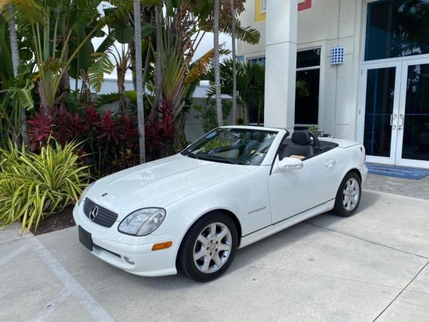 2002 Alabaster White /Charcoal/Beige Mercedes-Benz SLK-Class 2.3L SLK CONV LOW MILES 48,941 (WDBKK49F32F) with an 2.3L Supercharged And Intercooled DOHC SMPI 16-Valve In-Line 4-Cyl Engine engine, Automatic transmission, located at 4701 North Dixie Hwy, Pompano Beach, FL, 33064, (954) 422-2889, 26.240938, -80.123474 - OUR WEBPAGE FLORIDACARS1.COM HAS OVER 100 PHOTOS AND FREE CARFAX LINK 2002 Mercedes-Benz SLK 230 Kompressor Convertible 2.3L I4 F DOHC 16V Gasoline 30 MPG Rear Wheel Drive Features ABS Brakes Air Conditioning Alloy Wheels AM/FM Stereo Automatic Transmission BOSE Sound System Cassette Player Cruise C- Photo#31