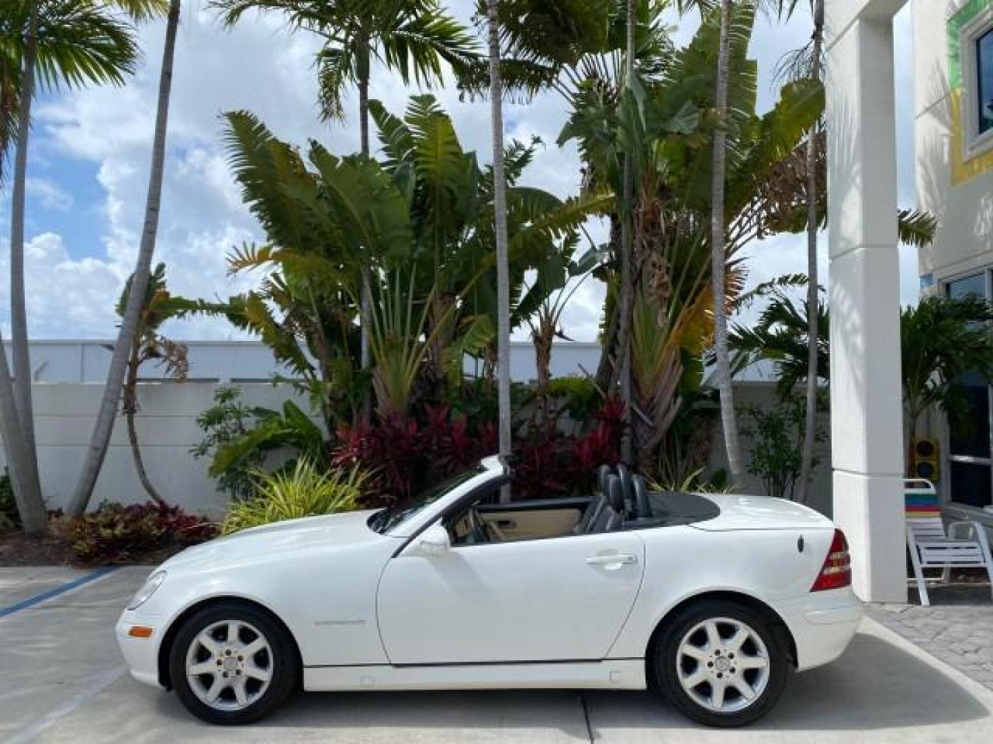2002 Alabaster White /Charcoal/Beige Mercedes-Benz SLK-Class 2.3L SLK CONV LOW MILES 48,941 (WDBKK49F32F) with an 2.3L Supercharged And Intercooled DOHC SMPI 16-Valve In-Line 4-Cyl Engine engine, Automatic transmission, located at 4701 North Dixie Hwy, Pompano Beach, FL, 33064, (954) 422-2889, 26.240938, -80.123474 - OUR WEBPAGE FLORIDACARS1.COM HAS OVER 100 PHOTOS AND FREE CARFAX LINK 2002 Mercedes-Benz SLK 230 Kompressor Convertible 2.3L I4 F DOHC 16V Gasoline 30 MPG Rear Wheel Drive Features ABS Brakes Air Conditioning Alloy Wheels AM/FM Stereo Automatic Transmission BOSE Sound System Cassette Player Cruise C- Photo#35