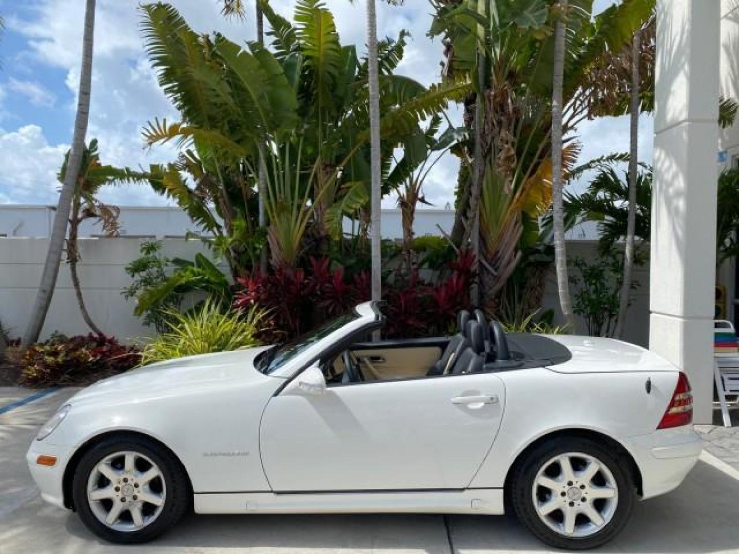 2002 Alabaster White /Charcoal/Beige Mercedes-Benz SLK-Class 2.3L SLK CONV LOW MILES 48,941 (WDBKK49F32F) with an 2.3L Supercharged And Intercooled DOHC SMPI 16-Valve In-Line 4-Cyl Engine engine, Automatic transmission, located at 4701 North Dixie Hwy, Pompano Beach, FL, 33064, (954) 422-2889, 26.240938, -80.123474 - OUR WEBPAGE FLORIDACARS1.COM HAS OVER 100 PHOTOS AND FREE CARFAX LINK 2002 Mercedes-Benz SLK 230 Kompressor Convertible 2.3L I4 F DOHC 16V Gasoline 30 MPG Rear Wheel Drive Features ABS Brakes Air Conditioning Alloy Wheels AM/FM Stereo Automatic Transmission BOSE Sound System Cassette Player Cruise C- Photo#37