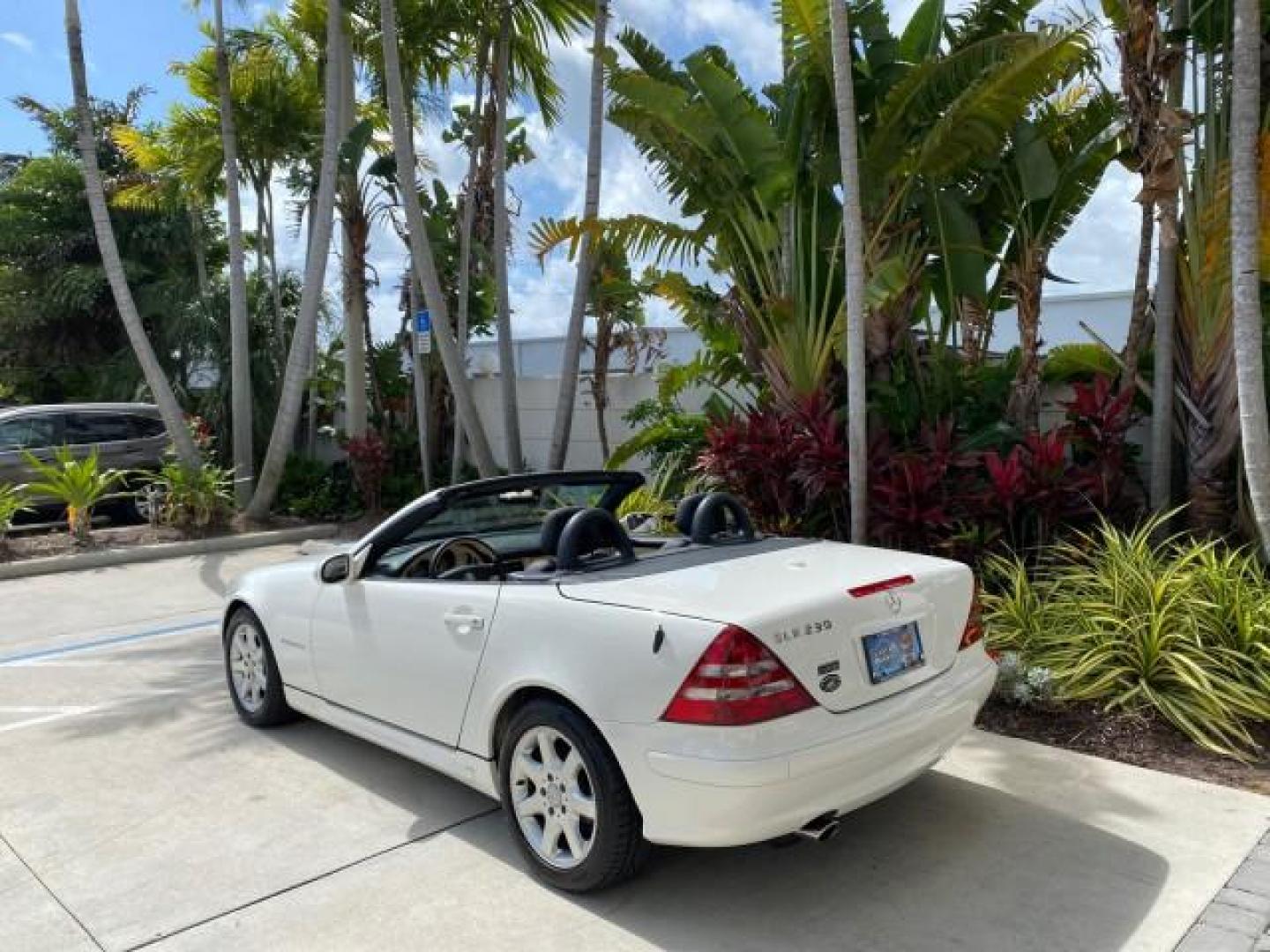 2002 Alabaster White /Charcoal/Beige Mercedes-Benz SLK-Class 2.3L SLK CONV LOW MILES 48,941 (WDBKK49F32F) with an 2.3L Supercharged And Intercooled DOHC SMPI 16-Valve In-Line 4-Cyl Engine engine, Automatic transmission, located at 4701 North Dixie Hwy, Pompano Beach, FL, 33064, (954) 422-2889, 26.240938, -80.123474 - OUR WEBPAGE FLORIDACARS1.COM HAS OVER 100 PHOTOS AND FREE CARFAX LINK 2002 Mercedes-Benz SLK 230 Kompressor Convertible 2.3L I4 F DOHC 16V Gasoline 30 MPG Rear Wheel Drive Features ABS Brakes Air Conditioning Alloy Wheels AM/FM Stereo Automatic Transmission BOSE Sound System Cassette Player Cruise C- Photo#39