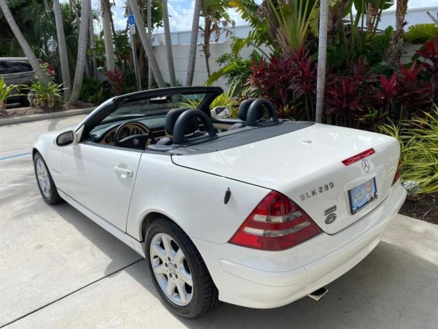 2002 Alabaster White /Charcoal/Beige Mercedes-Benz SLK-Class 2.3L SLK CONV LOW MILES 48,941 (WDBKK49F32F) with an 2.3L Supercharged And Intercooled DOHC SMPI 16-Valve In-Line 4-Cyl Engine engine, Automatic transmission, located at 4701 North Dixie Hwy, Pompano Beach, FL, 33064, (954) 422-2889, 26.240938, -80.123474 - OUR WEBPAGE FLORIDACARS1.COM HAS OVER 100 PHOTOS AND FREE CARFAX LINK 2002 Mercedes-Benz SLK 230 Kompressor Convertible 2.3L I4 F DOHC 16V Gasoline 30 MPG Rear Wheel Drive Features ABS Brakes Air Conditioning Alloy Wheels AM/FM Stereo Automatic Transmission BOSE Sound System Cassette Player Cruise C- Photo#41