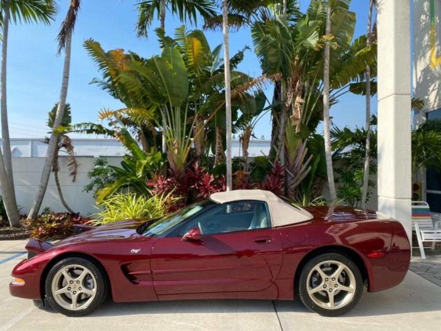 2003 50th Anniversary Red /Light Oak Chevrolet Corvette 50TH CONVERTIBLE LOW MILES 6,742 (1G1YY32G735) with an 5.7L Ls1 V8 SFI Engine engine, Automatic transmission, located at 4701 North Dixie Hwy, Pompano Beach, FL, 33064, (954) 422-2889, 26.240938, -80.123474 - OUR WEBPAGE FLORIDACARS1.COM HAS OVER 100 PHOTOS AND FREE CARFAX LINK 2003 Chevrolet Corvette 50th Anniversary Convertible 5.7L V8 F OHV Gasoline 25 MPG Rear Wheel Drive Features ABS Brakes Air Conditioning Alloy Wheels AM/FM Stereo Automatic Transmission BOSE Sound System CD Audio Cruise Control He- Photo#37