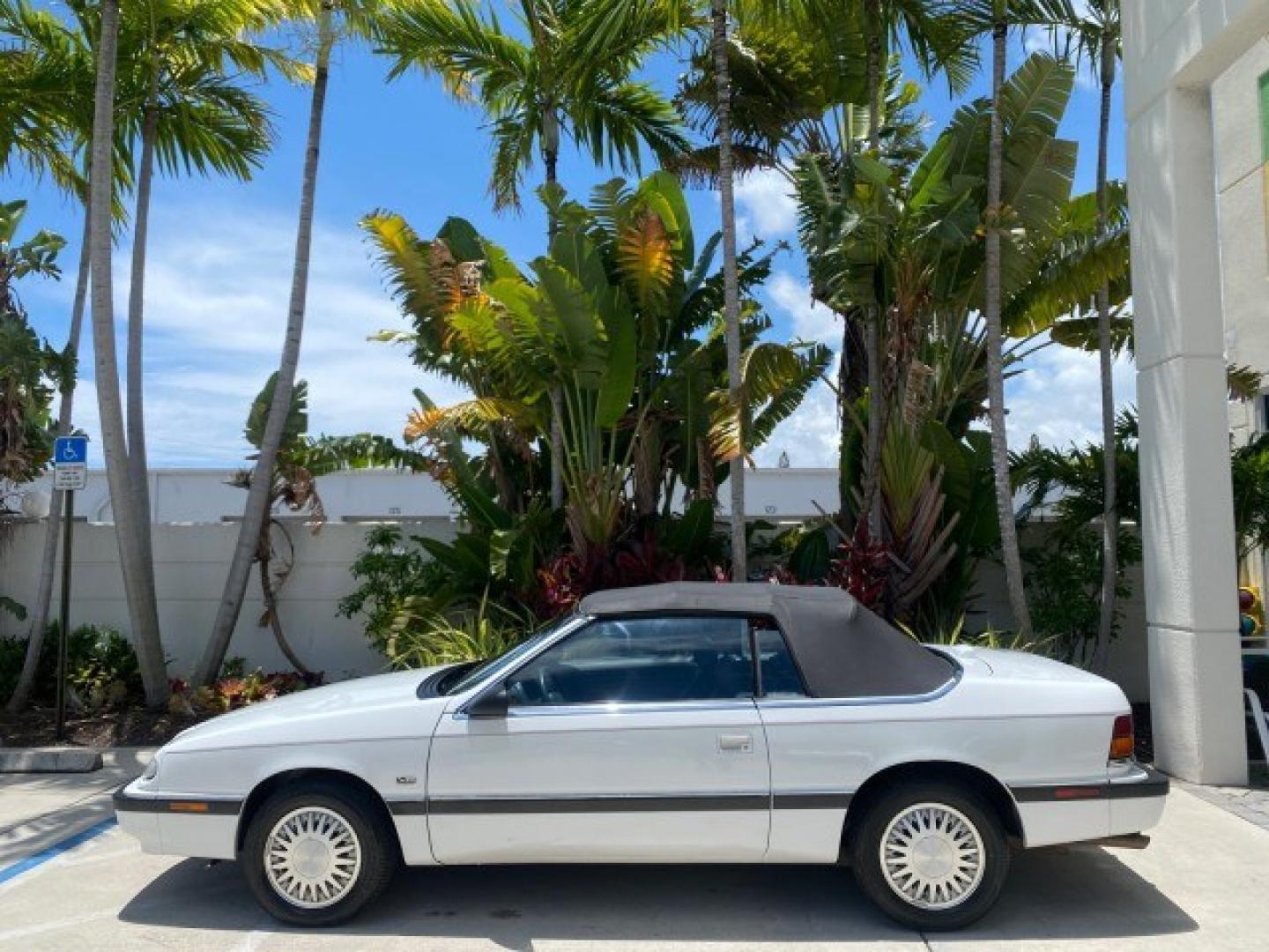 1993 White /Black Chrysler Lebaron CONV LX LOW MILES 26,305 (1C3XU5532PF) with an 3.0L SMFI 6-Cyl Engine engine, Automatic transmission, located at 4701 North Dixie Hwy, Pompano Beach, FL, 33064, (954) 422-2889, 26.240938, -80.123474 - OUR WEBPAGE FLORIDACARS1.COM HAS OVER 100 PHOTOS AND FREE CARFAX LINK 1993 Chrysler LeBaron Convertible 3.0L V6 F SOHC 12V Gasoline Front Wheel Drive Features ABS Brakes Air Conditioning Alloy Wheels AM/FM Stereo Automatic Transmission Cassette Player Cruise Control Leather Seats Power Locks Power S- Photo#31
