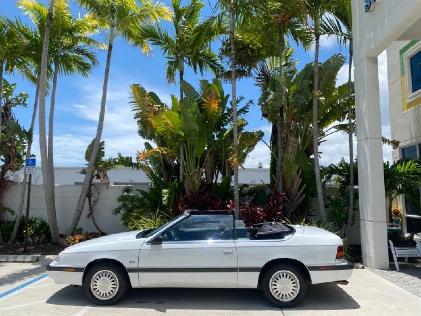 1993 White /Black Chrysler Lebaron CONV LX LOW MILES 26,305 (1C3XU5532PF) with an 3.0L SMFI 6-Cyl Engine engine, Automatic transmission, located at 4701 North Dixie Hwy, Pompano Beach, FL, 33064, (954) 422-2889, 26.240938, -80.123474 - OUR WEBPAGE FLORIDACARS1.COM HAS OVER 100 PHOTOS AND FREE CARFAX LINK 1993 Chrysler LeBaron Convertible 3.0L V6 F SOHC 12V Gasoline Front Wheel Drive Features ABS Brakes Air Conditioning Alloy Wheels AM/FM Stereo Automatic Transmission Cassette Player Cruise Control Leather Seats Power Locks Power S- Photo#86