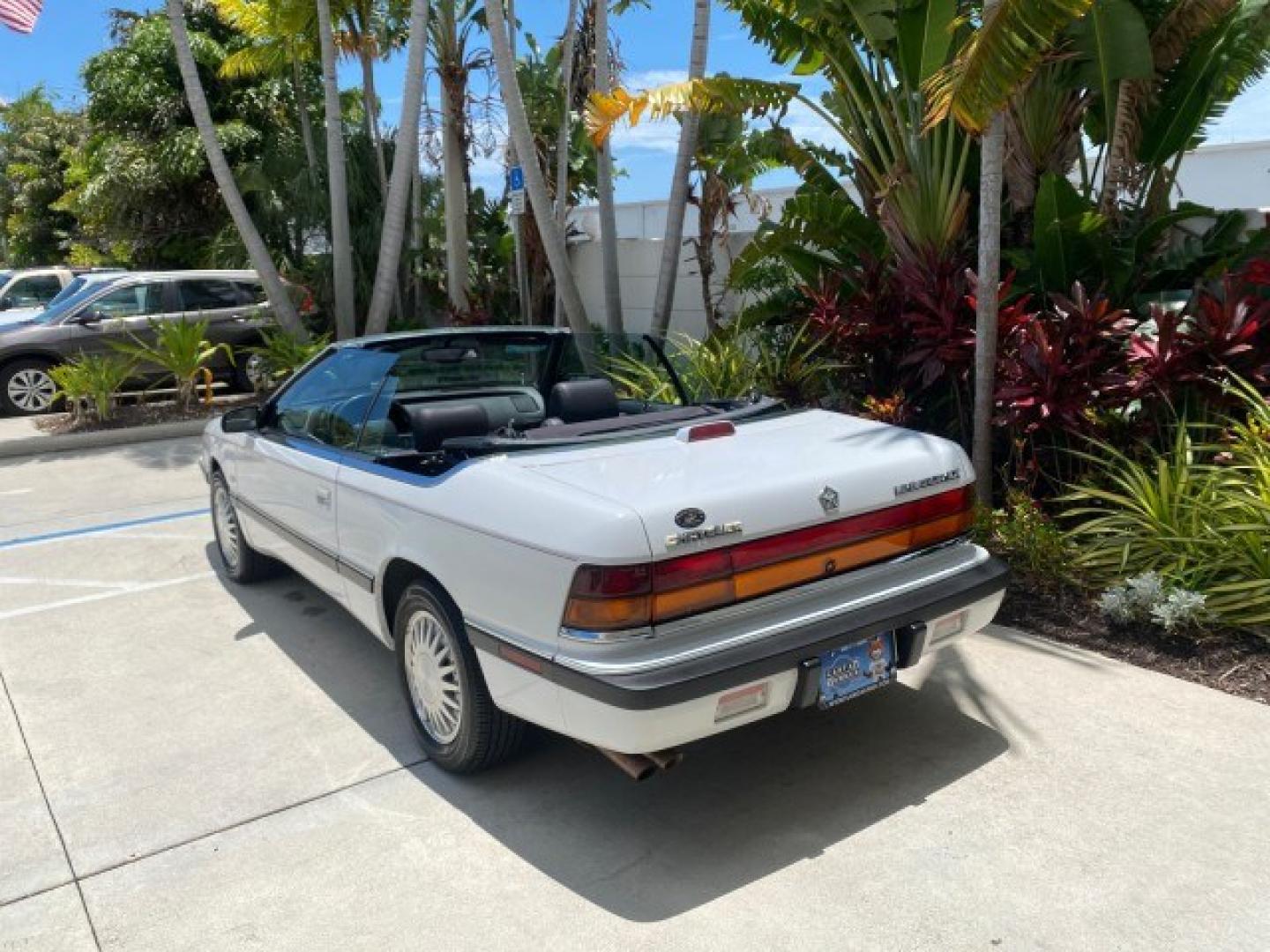 1993 White /Black Chrysler Lebaron CONV LX LOW MILES 26,305 (1C3XU5532PF) with an 3.0L SMFI 6-Cyl Engine engine, Automatic transmission, located at 4701 North Dixie Hwy, Pompano Beach, FL, 33064, (954) 422-2889, 26.240938, -80.123474 - OUR WEBPAGE FLORIDACARS1.COM HAS OVER 100 PHOTOS AND FREE CARFAX LINK 1993 Chrysler LeBaron Convertible 3.0L V6 F SOHC 12V Gasoline Front Wheel Drive Features ABS Brakes Air Conditioning Alloy Wheels AM/FM Stereo Automatic Transmission Cassette Player Cruise Control Leather Seats Power Locks Power S- Photo#88