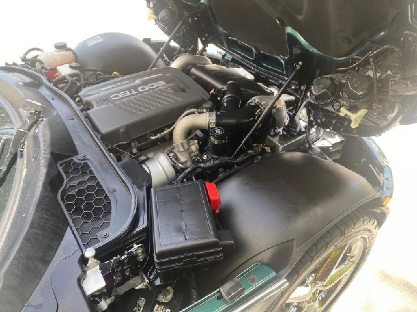 2008 Forest Green /Tan Saturn Sky AUTO TURBO Red Line LOW MILES 3,949 (1G8MG35X48Y) with an Turbocharged And Intercooled Ecotec 2.0L VVT DOHC 4-Cyl Aluminum Engine engine, Automatic transmission, located at 4701 North Dixie Hwy, Pompano Beach, FL, 33064, (954) 422-2889, 26.240938, -80.123474 - OUR WEBPAGE FLORIDACARS1.COM HAS OVER 100 PHOTOS AND FREE CARFAX LINK 2008 Saturn SKY Red Line Turbo All Original Paint Collectors Welcome Convertible 2.0L I4 F DOHC Gasoline 31 MPG Rear Wheel Drive Features ABS Brakes Air Conditioning Alloy Wheels AM/FM Stereo Automatic Transmission CD Audio Cruise- Photo#25