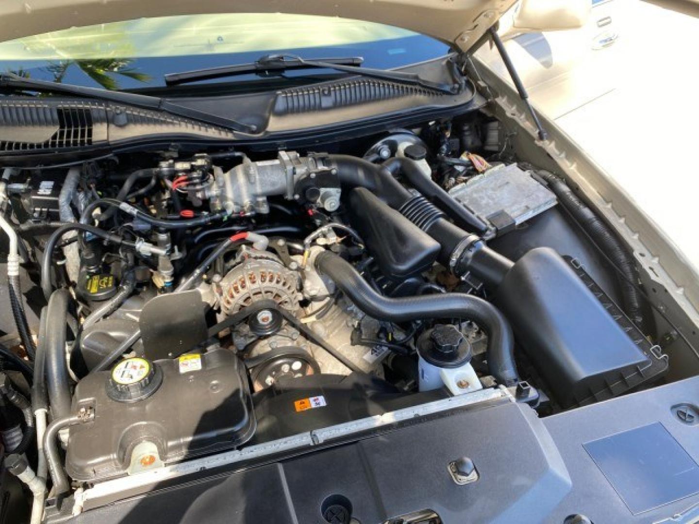 2008 Light French Silk Metallic /Light Camel Lincoln Town Car Limited LOW MILES 29,278 1 OWNER (2LNHM82V48X) with an 4.6L SOHC FFV V8 Engine engine, Automatic transmission, located at 4701 North Dixie Hwy, Pompano Beach, FL, 33064, (954) 422-2889, 26.240938, -80.123474 - OUR WEBPAGE FLORIDACARS1.COM HAS OVER 100 PHOTOS AND FREE CARFAX LINK 2008 Lincoln Town Car Signature Limited 1 OWNER Sedan 4 DR 4.6L V8 F SOHC Flex Fuel 23 MPG Rear Wheel Drive Features ABS Brakes Air Conditioning Alloy Wheels AM/FM Stereo Automatic Transmission CD Audio Cruise Control Flex Fuel Ve- Photo#25